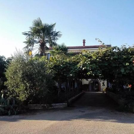 App Carla Apartment Novigrad  ภายนอก รูปภาพ