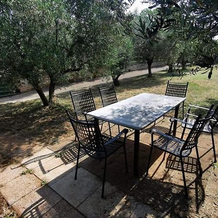App Carla Apartment Novigrad  ภายนอก รูปภาพ