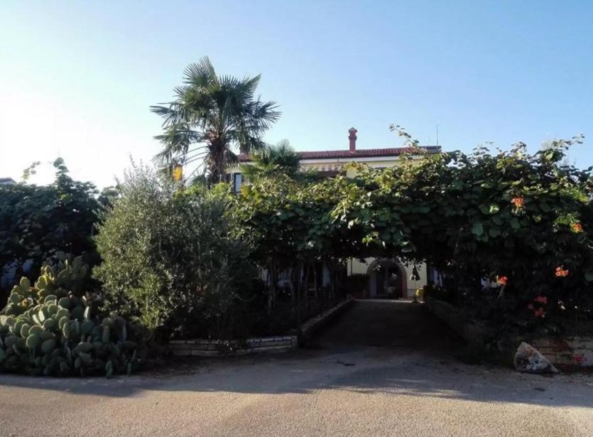 App Carla Apartment Novigrad  ภายนอก รูปภาพ