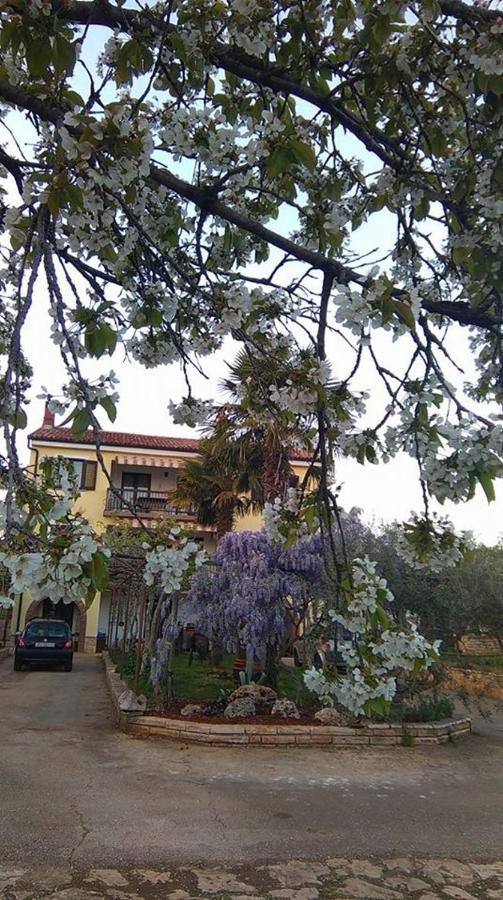 App Carla Apartment Novigrad  ภายนอก รูปภาพ