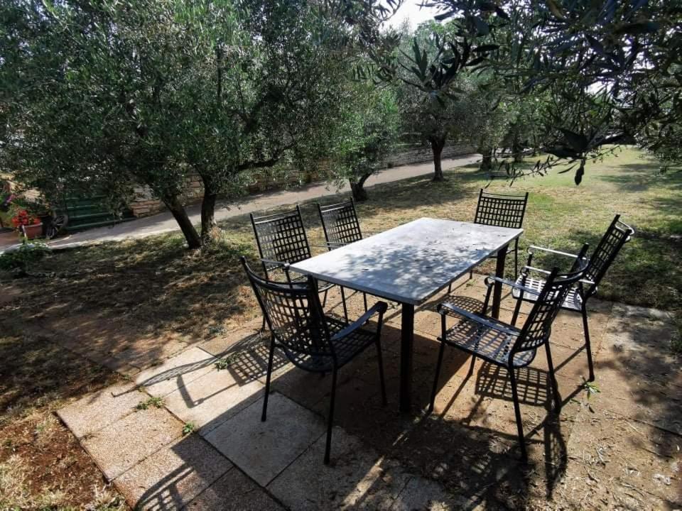 App Carla Apartment Novigrad  ภายนอก รูปภาพ