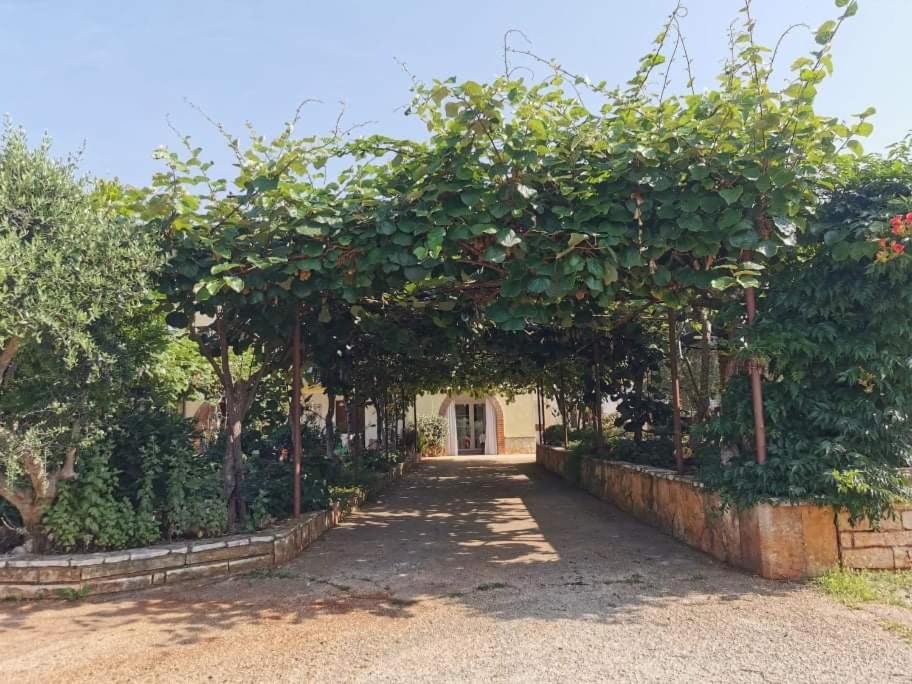 App Carla Apartment Novigrad  ภายนอก รูปภาพ