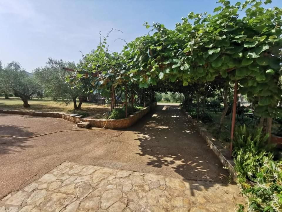 App Carla Apartment Novigrad  ภายนอก รูปภาพ