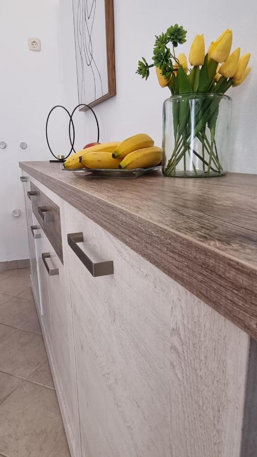 App Carla Apartment Novigrad  ภายนอก รูปภาพ